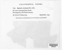 Image Associated With the Occurence